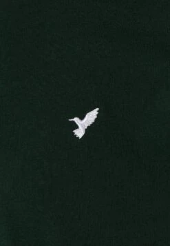 Pier One5 PACK - T-shirt - Bas - White/ark Green/blue -Pier One Försäljning 19822f95d4c243b5a7cfa8d503e23581